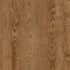 4626-AUSTRALIA-CHESTNUT-VL