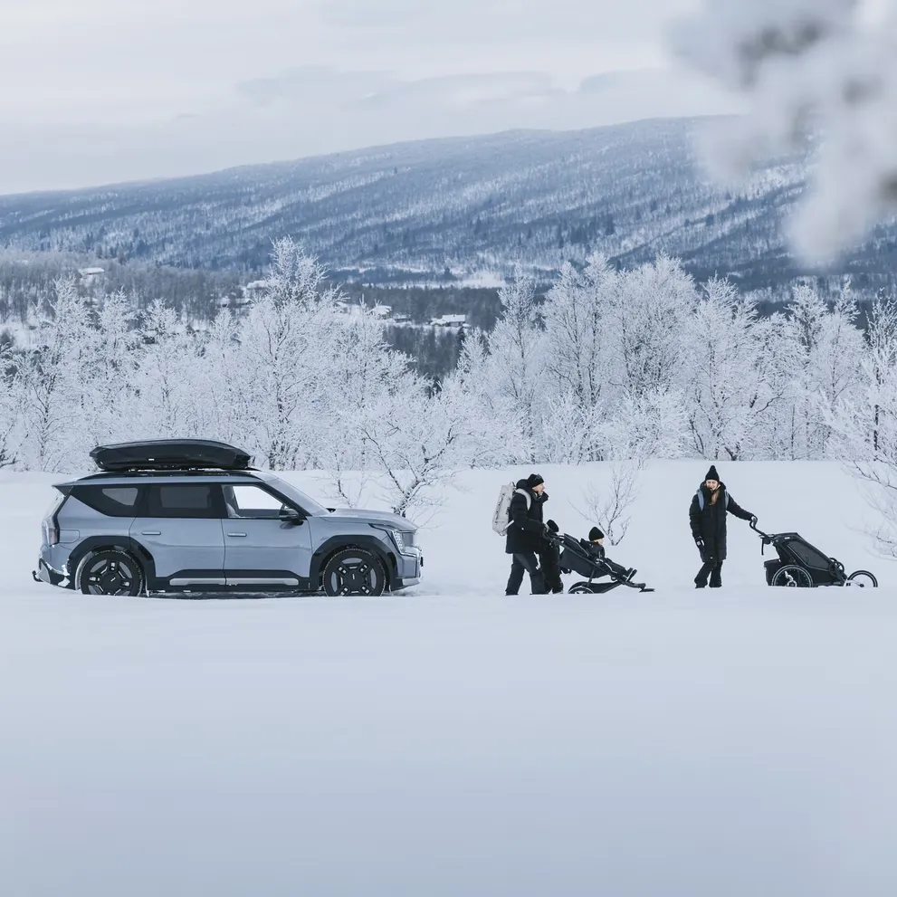 Thule Motion 3 L – Titan Glossy
